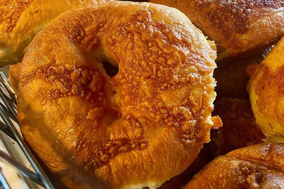 The Bagel Hound Cafe