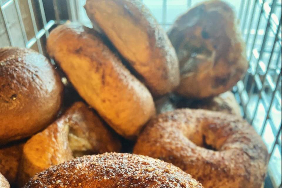The Bagel Hound Cafe