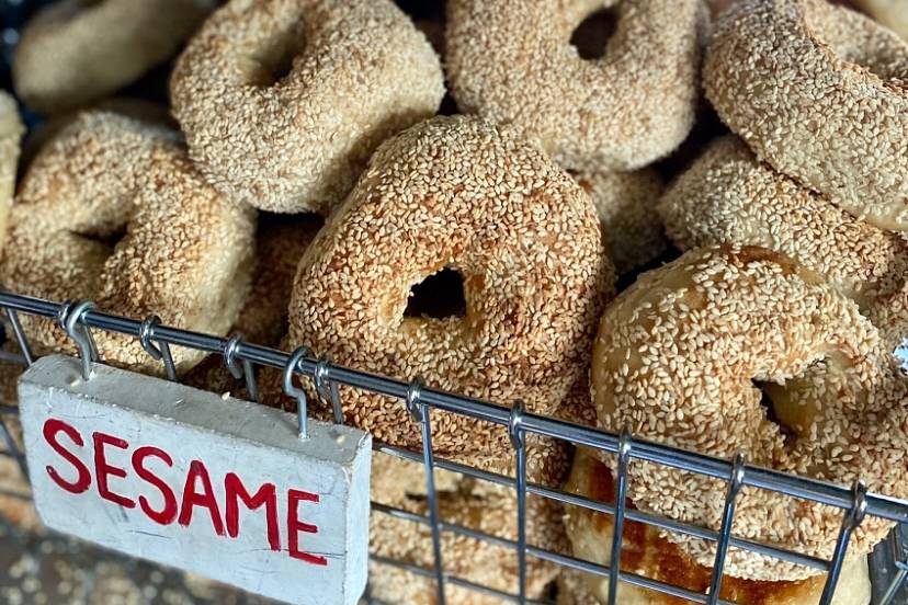 The Bagel Hound Cafe
