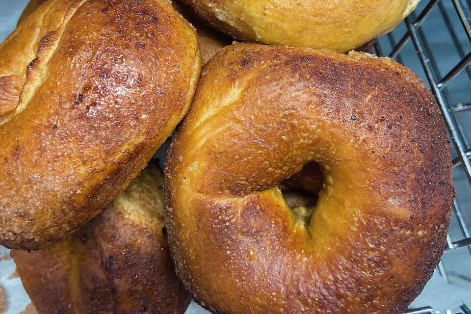 The Bagel Hound Cafe