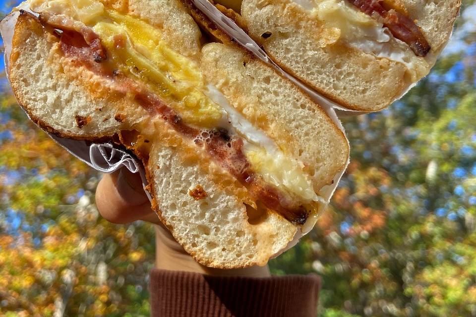 The Bagel Hound Cafe