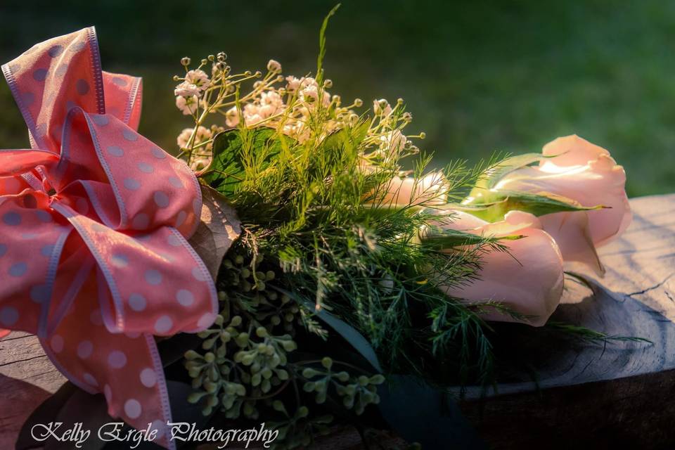 Kelly ergle photography