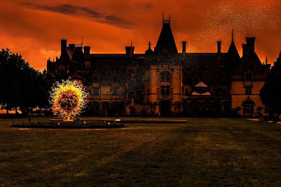 Magical weddings
