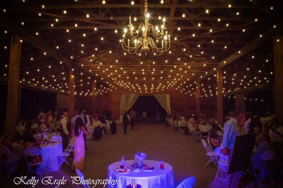 Kelly Ergle Photography
