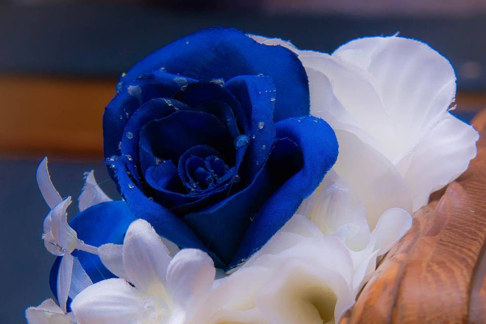 Kelly Ergle Photography