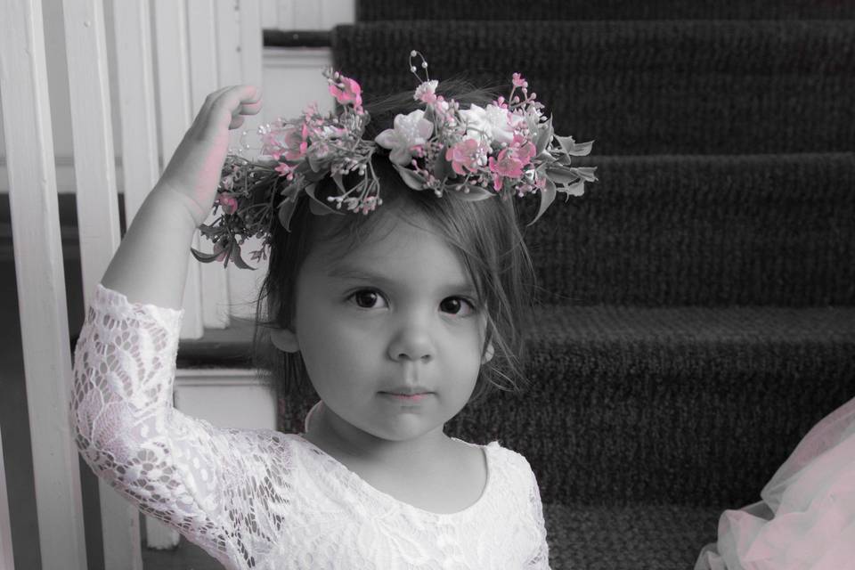 Kelly Ergle Photography
