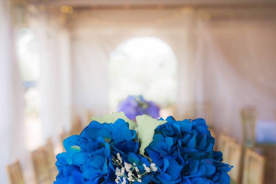 Kelly Ergle Photography