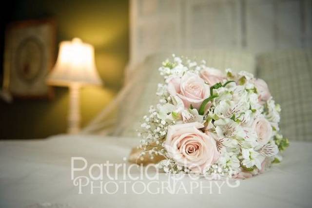 Patricia-jean Photography