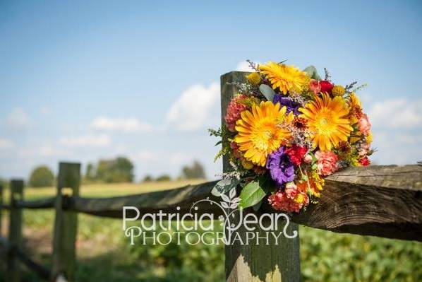 Patricia-jean Photography