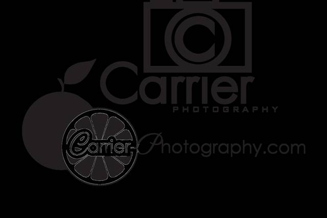 Carrier Photography