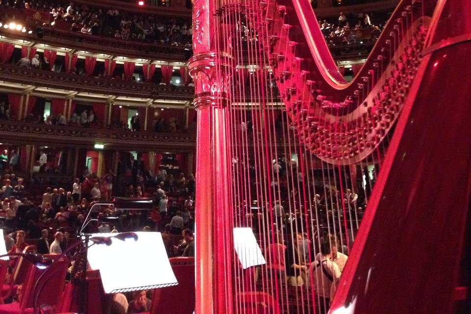 Performing in Royal Albert Hall