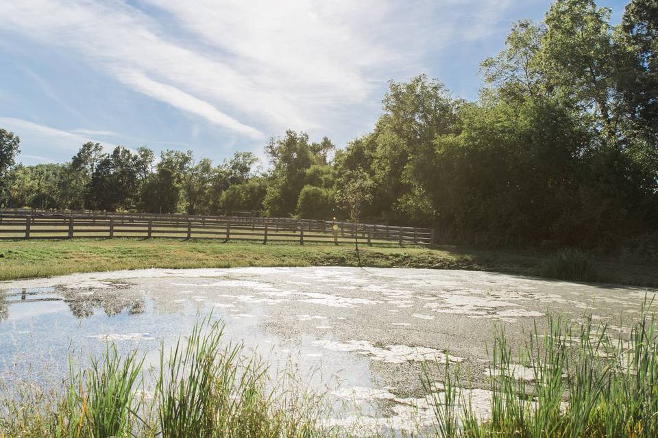 Cecil Creek Farm