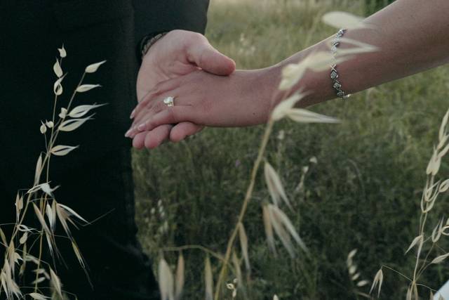 Purely Cinematic Wedding Video