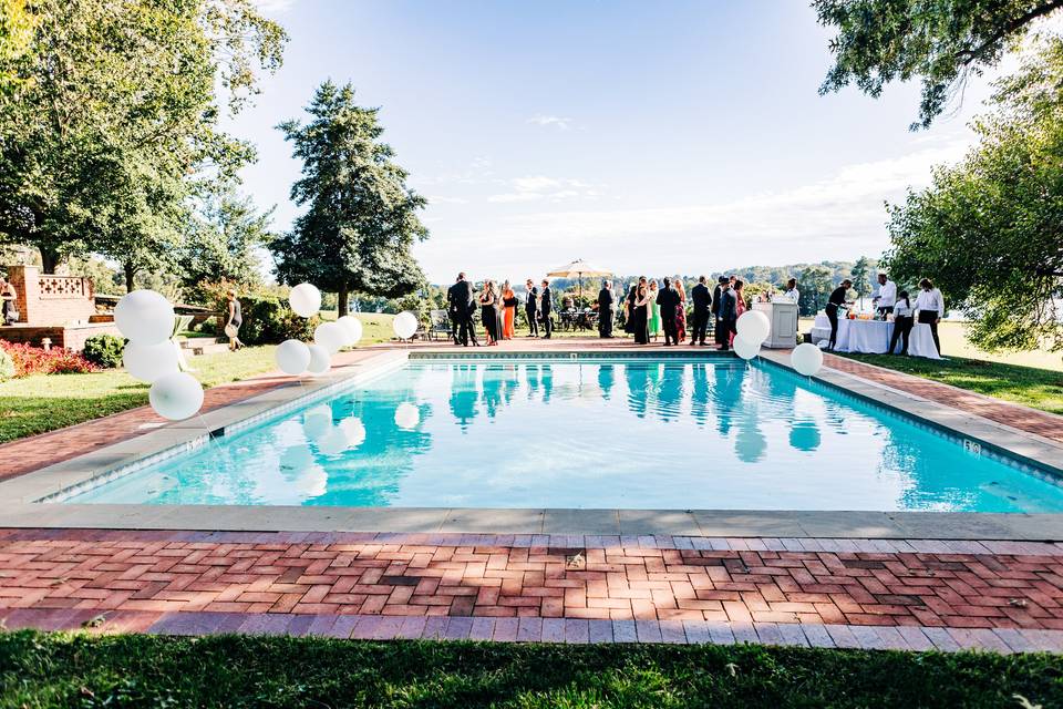 Poolside cocktails