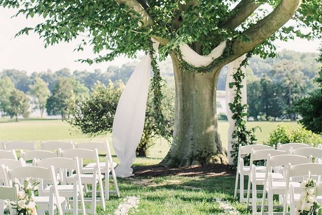 Brittland reception