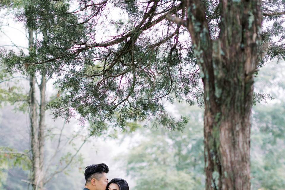 Skyline Drive Engagement