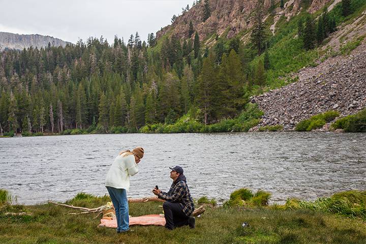 A+M Proposal