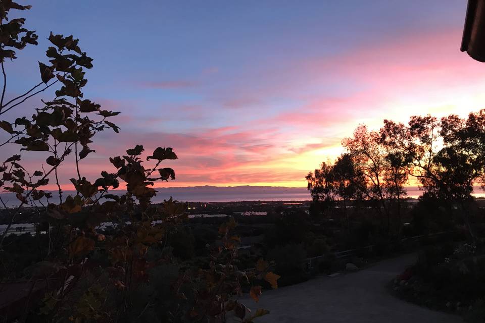 Sunset @ Ocean View Farm.