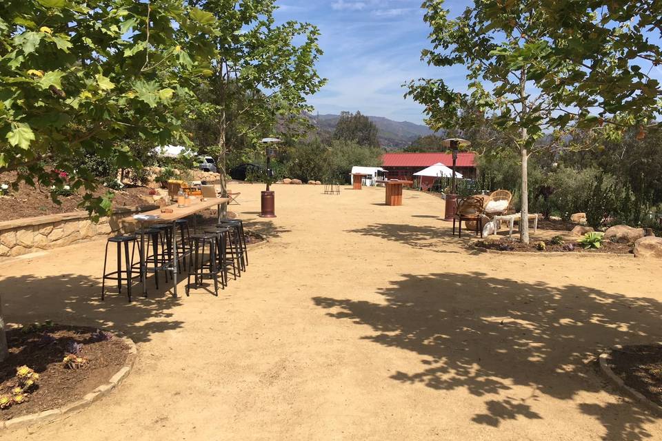 Looking at outdoor space from barn