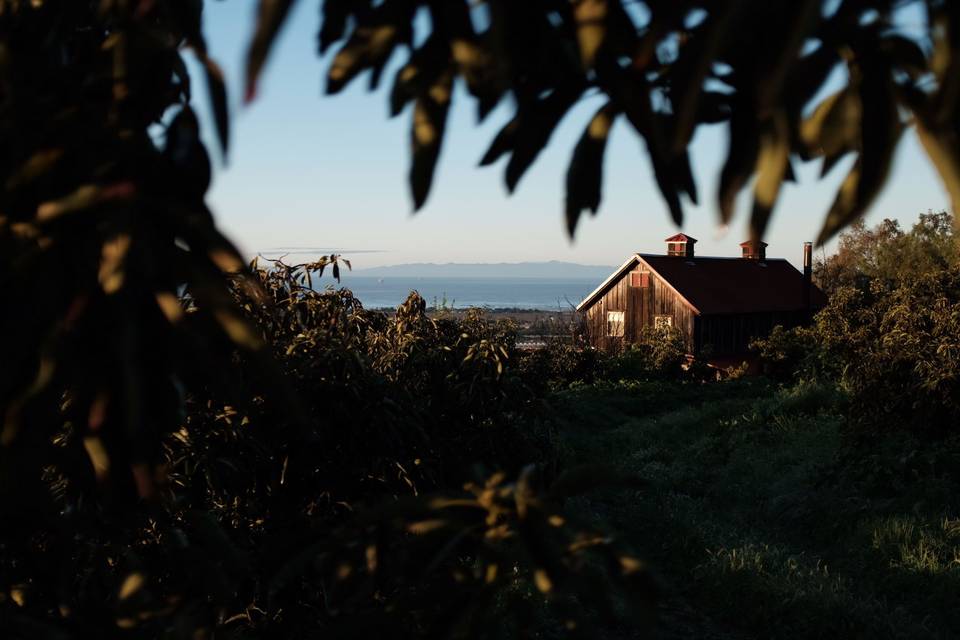 View of main residence/ocean.