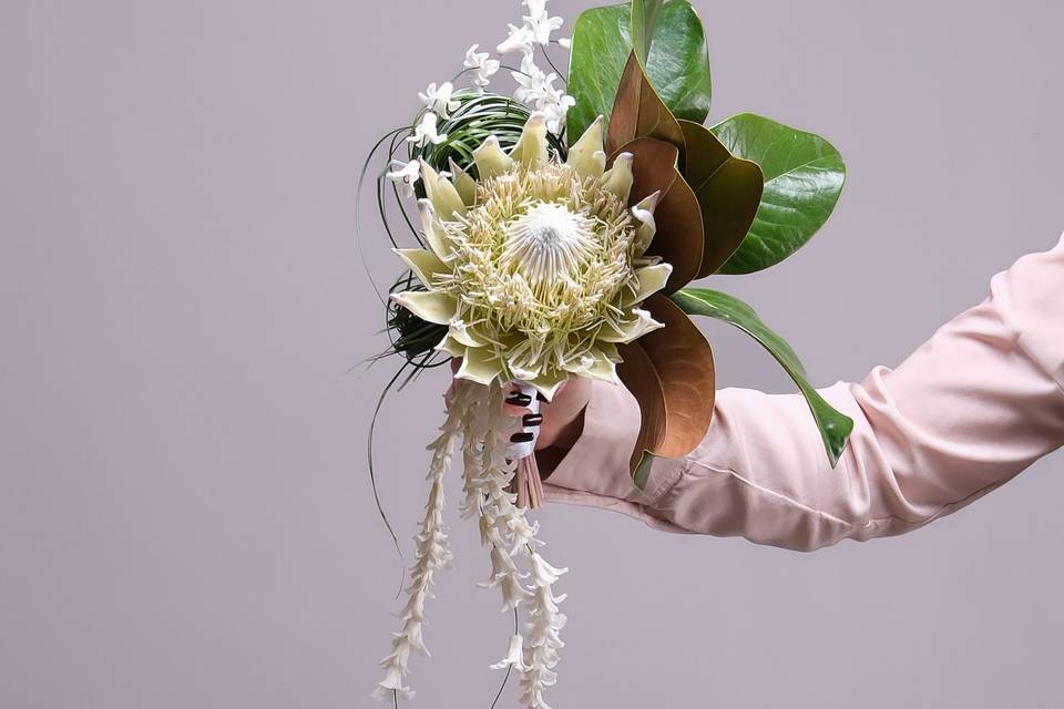 Protea modern bridal bouquet