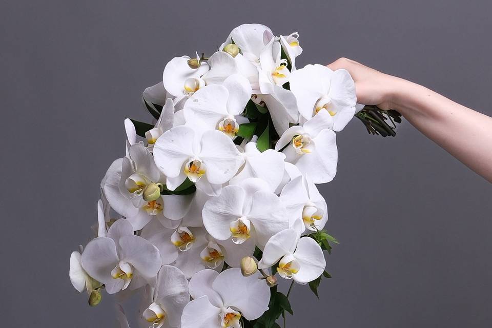 Orchids Bouquet