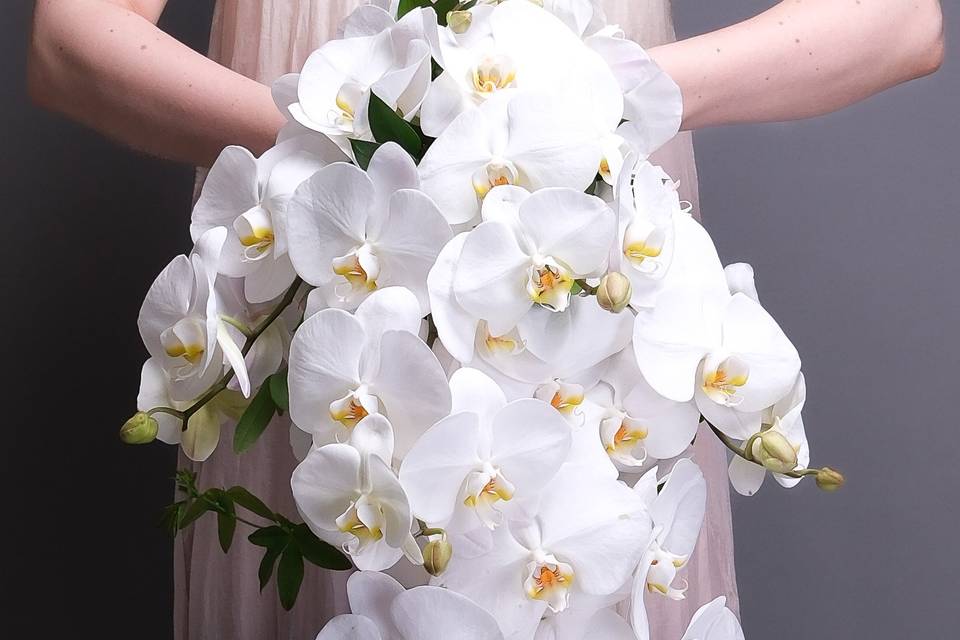 Orchids cascading bouquet