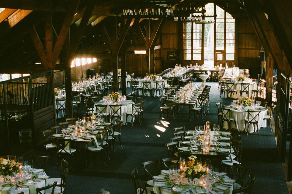 Madeleine+Ian_WEDDING_FILM_MadiEllisPhotography-1553-web.jpg