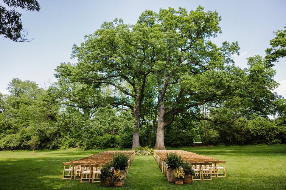 Madeleine+Ian_WEDDING_MadiEllisPhotography-419-web.jpg