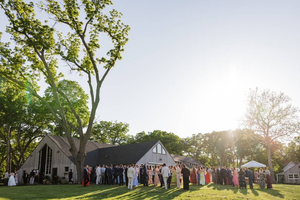 Madeleine+Ian_WEDDING_MadiEllisPhotography-816-web.jpg