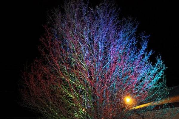 Tree lit with slow fading colorwash LED lights