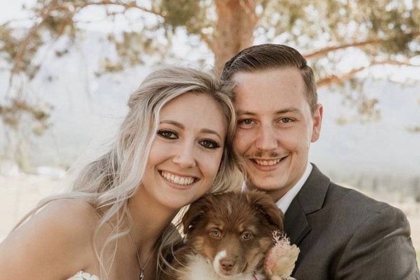 Pups and wedding