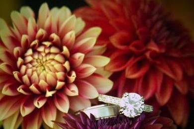 Rings,flowers,colorful