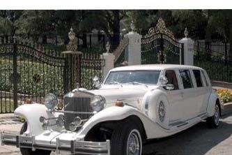 RollsRoyce Rental in Miami  Pugachev Luxury Car Rental