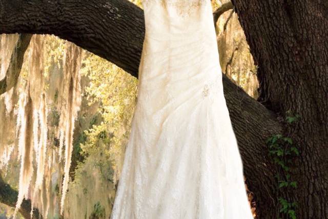 The Dress
