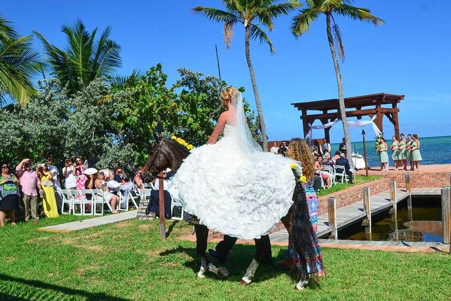 Caribbean Catering