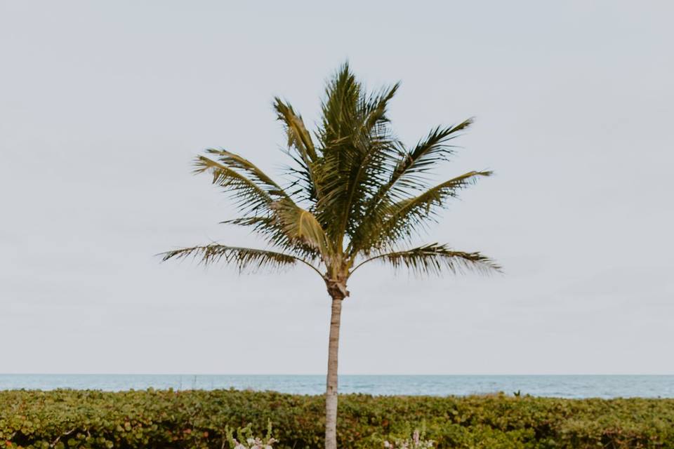 Jupiter Inlet Beach Club Cerem