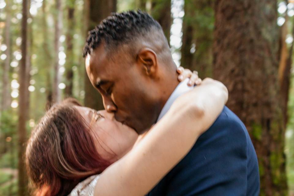 Elopement in the Redwoods