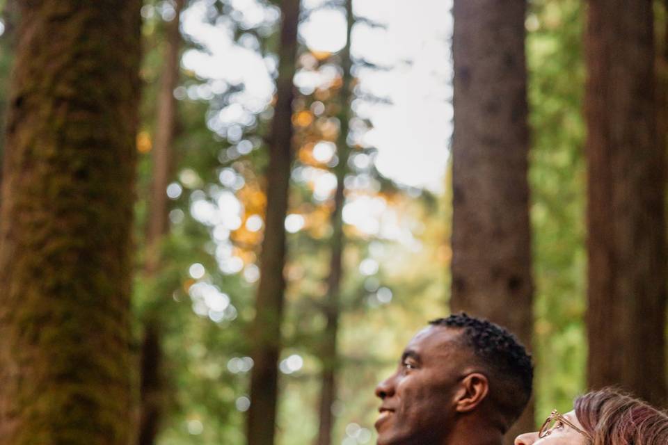 Elopement in the Redwoods