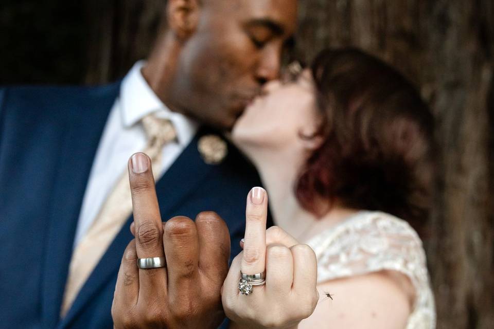 Elopement in the Redwoods
