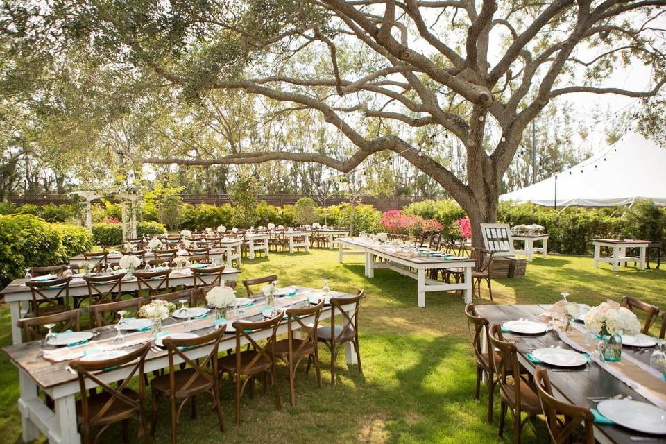 Oak Tree Reception setup