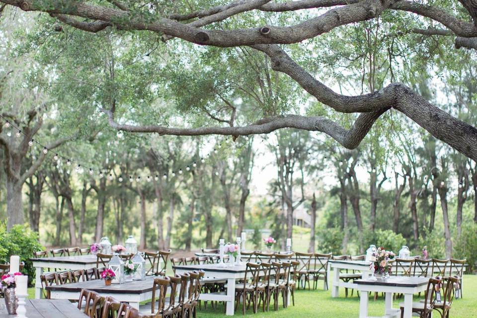 Oak Tree reception setup