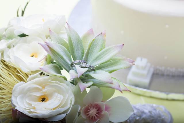 Wedding in Virginia Beach, VA