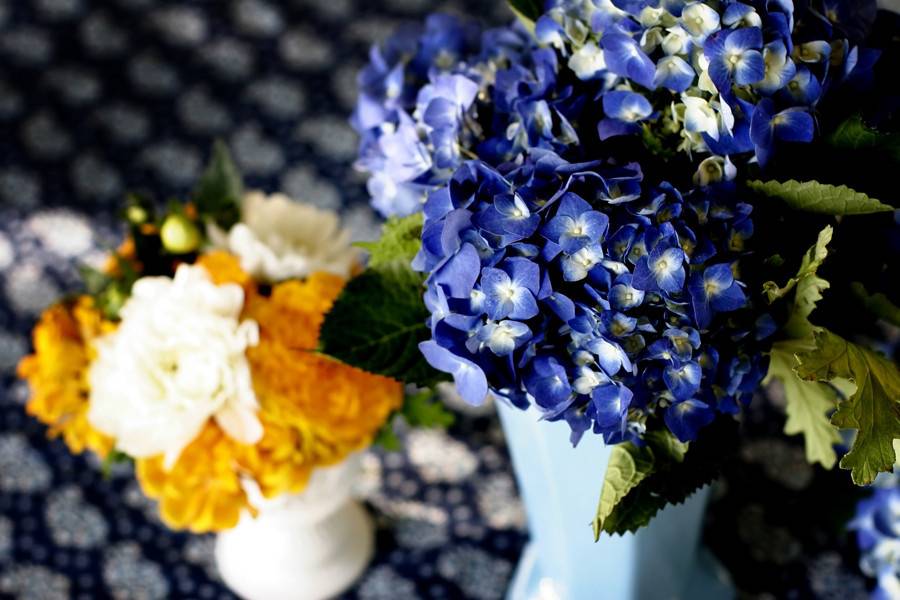 Lush blue flowers