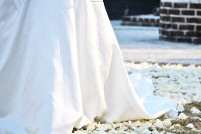 libby williams photographs