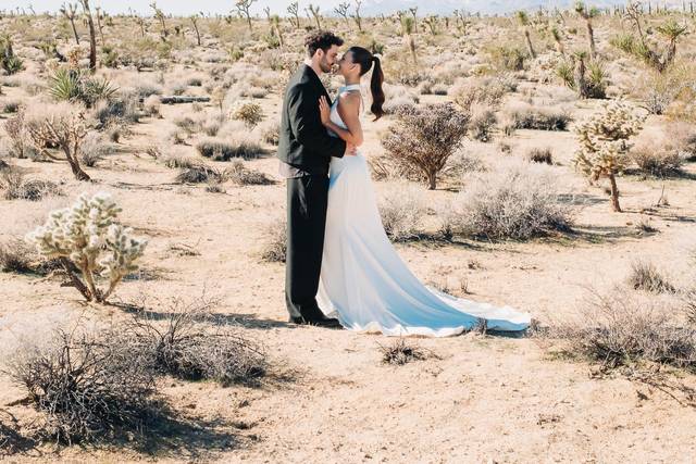 Joshua Tree