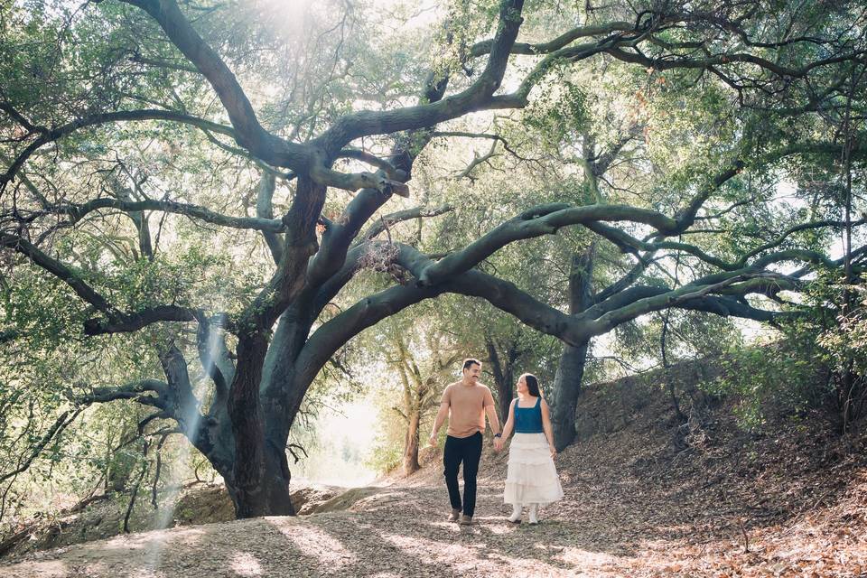 Chino Hills State Park