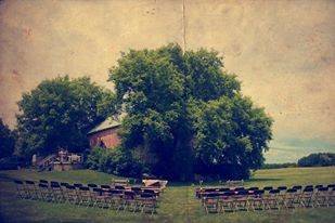 Outdoor wedding setup