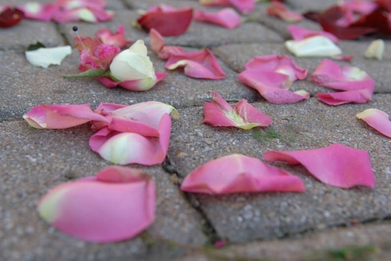 Gathered Stems Floral Couture