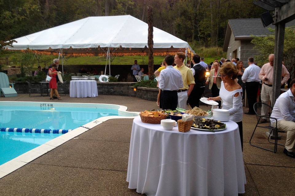 Poolside StationsThe Villa at Springwood